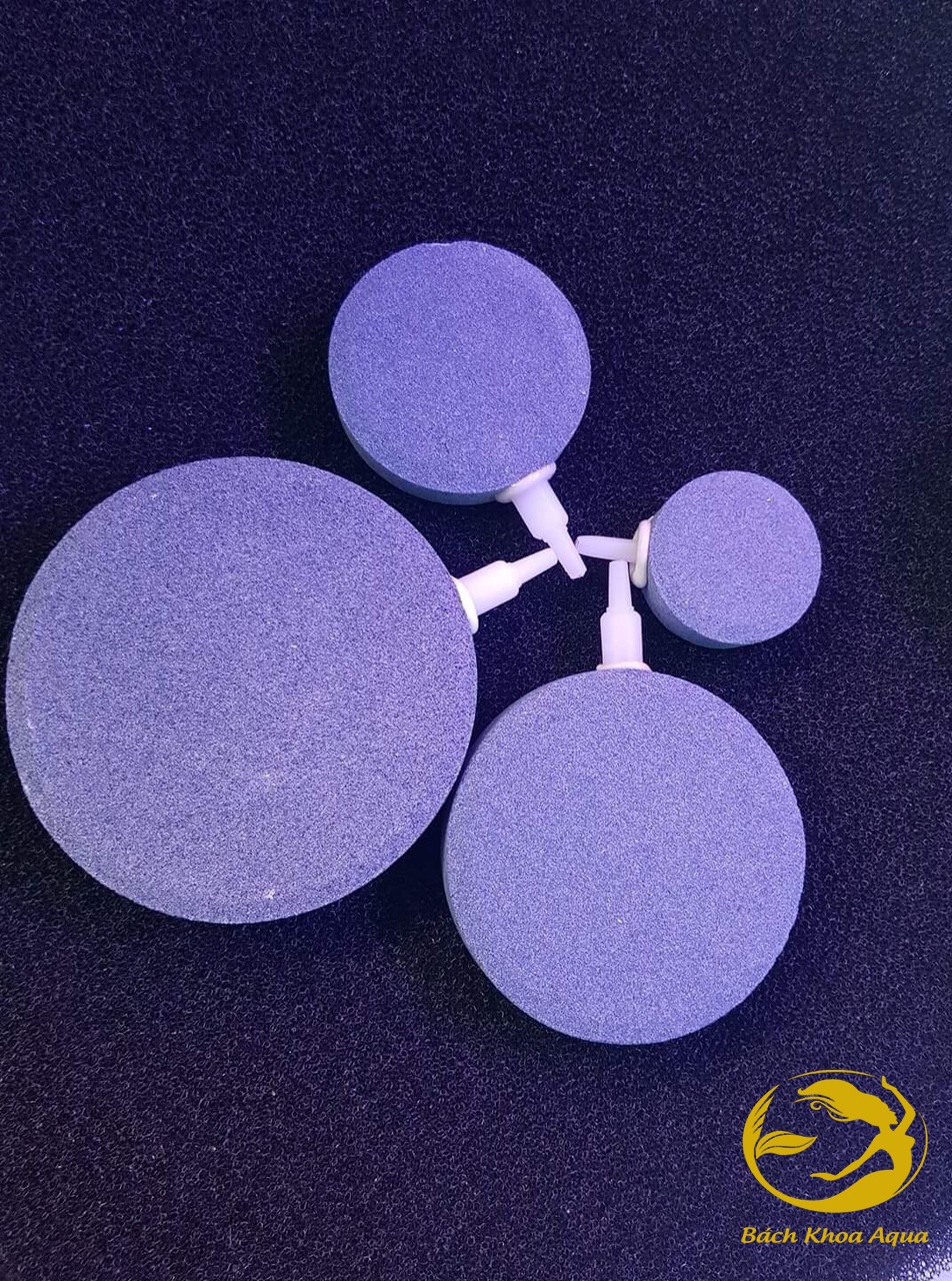 Sủi đĩa thường 2 mặt 4cm - 6cm - 8cm -10cm